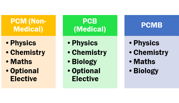 Science Stream